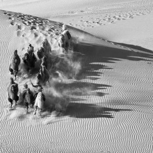Run into the desert di Mauro Agnesoni