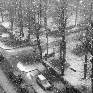 Snowing2 di Monica Giudice